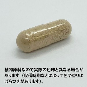 ECLECTIC エキナシア(エキナセア)RT(根)45カプセル FFD45 E041(健康食品 ハーブエキス サプリメント)※お取り寄せ1週間程度かかります