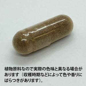 ECLECTIC バレリアン(西洋カノコソウ)45カプセル FFD45 E061(健康食品 ハーブエキス サプリメント)※お取り寄せ1週間程度かかります