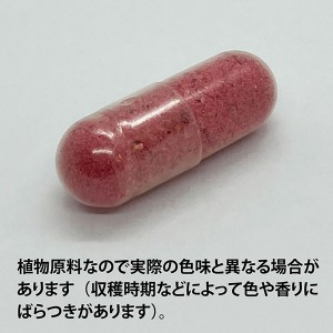 ECLECTIC クランベリー(ツルコケモモ)45カプセル FFD45 E091(健康食品 ハーブエキス サプリメント)※お取り寄せ1週間程度かかります