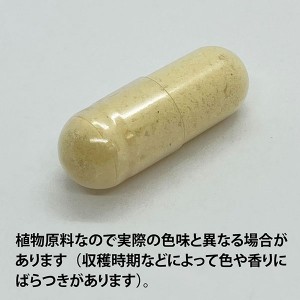 ECLECTIC ショウガ(ジンジャー)45カプセル FFD45 E111(健康食品 ハーブエキス サプリメント)※お取り寄せ1週間程度かかります