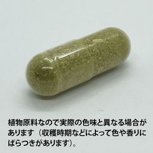 ECLECTIC パッションフラワー(トケイソウ)200mg×45カプセル FFD45(快眠サポートに)E141(健康食品 ハーブエキス サプリメント)※お取り寄せ1週間程度かかります