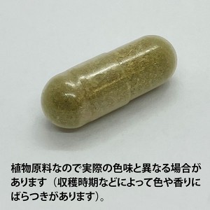 ECLECTIC ナツシロギク(フィーバーフュー)175mg×45カプセル FFD45 E151(健康食品 ハーブエキス サプリメント)※お取り寄せ1週間程度かかります