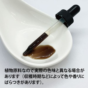 ECLECTIC キッズネトル(イラクサ)アイブライト 1オンス 29.5ml E167(健康食品 ハーブエキス サプリメント)※お取り寄せ1週間程度かかります