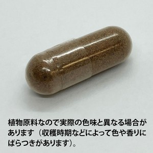 ECLECTIC ノコギリヤシ(ソーパルメット)45カプセル FFD45 E181(健康食品 ハーブエキス サプリメント)※お取り寄せ1週間程度かかります