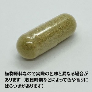 ECLECTIC ホップ(カラハナソウ)200mg×45カプセル FFD45(快眠サポートに)E201(健康食品 ハーブエキス サプリメント)※お取り寄せ1週間程度かかります