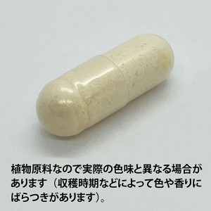 ECLECTIC ガーリック(ニンニク)45カプセル FFD45 E241(健康食品 ハーブエキス サプリメント)※お取り寄せ1週間程度かかります