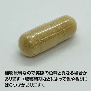 ECLECTIC ニガウリ(ゴーヤー)200mg×45カプセル FFD45 E261(健康食品 ハーブエキス サプリメント)※お取り寄せ1週間程度かかります