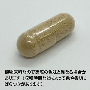 ECLECTIC バードック(西洋ゴボウ)500mg×45カプセル FFD45 E281(健康食品 ハーブエキス サプリメント)※お取り寄せ1週間程度かかります