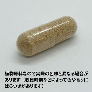 ECLECTIC セイヨウタンポポ(ダンデライオン)400mg×45カプセル FFD45 E331(健康食品 ハーブエキス サプリメント)※お取り寄せ1週間程度かかります