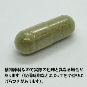 ECLECTIC ホーステイル(スギナ)375mg×45カプセル FFD45(健康食品)E451(健康食品 ハーブエキス サプリメント)※お取り寄せ1週間程度かかります