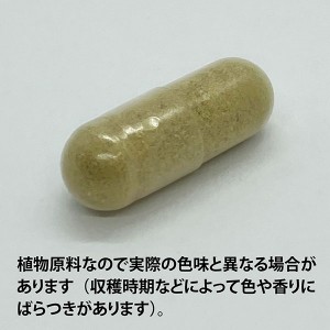 ECLECTIC オリーブリーフ(オリーブの葉)400mg×90カプセル FFD90 E532(健康食品 ハーブエキス サプリメント)※お取り寄せ1週間程度かかります