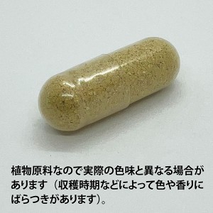 ECLECTIC カレンデュラ(ポットマリーゴールド)250mg×15カプセル Ecoパック15 EC340(健康食品 ハーブエキス サプリメント)※お取り寄せ1週間程度かかります