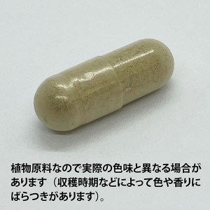 ECLECTIC ゴツコーラ(センテラ、ツボクサ)200mg×90カプセル Ecoパック90(足のむくみサポートに)EC442(健康食品 ハーブエキス サプリメント)※お取り寄せ1週間程度かかります