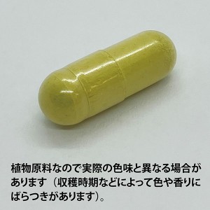 ECLECTIC ネイザルサポート 15カプセル Ecoパック15 EC520(健康食品 ハーブエキス サプリメント)※お取り寄せ1週間程度かかります