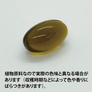 NORA Originals クロフサスグリ油V 90カプセル N081(健康食品 サプリメント)※お取り寄せ1週間程度かかります