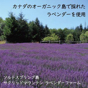 SACRED MOUNTAIN LAVENDER ラベンダースピリッツァー ラベンダー 化粧水 100ml(イングリッシュラベンダー Lavandula angustifolia ハイドロゾル)L011※お取り寄せ1週間程度かかります