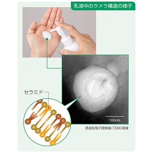 ALCARE(アルケア) スキンケア用品 保湿性スキンケア乳液 リモイスラメラ保湿ミルク プッシュボトル 380ml[21351] (スキンケア用品乳液保湿ミルクプッシュボトルリモイス)