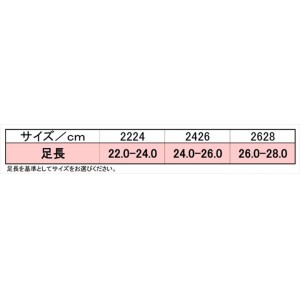 リガード（REGUARD） サポートスポーツ CG サポート・ソックス CGS-1  CGS1 22-24cm