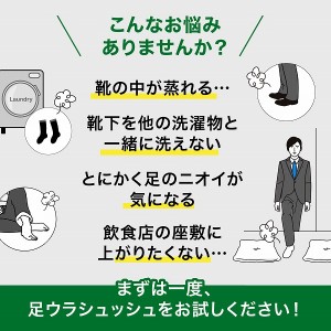 【送料無料】DAMERINO ダメリーノ 足ウラシュッシュ 足のにおい対策スプレー 200ml(頑固な足のニオイ 体臭 消臭 柿渋 靴蒸れ 加齢臭 足臭 汗臭 足裏シュッシュ)