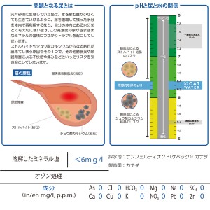 [ファンタジーワールド]CW60100 キャットウォーター 500ml(猫用品 飲料水)