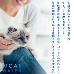 [ファンタジーワールド]CW60101 キャットウォーター 4L(猫用品 飲料水)