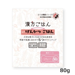 【ゆうパケット配送対象】[ノット]漢方ごはん改め げんかつごはん レトルト 金 80g(犬用品 ドッグフード)(ポスト投函 追跡ありメール便)