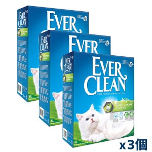 【同梱不可】エバークリーン 芳香タイプ 6L x3個(オランダ産 猫用 ベントナイト 鉱物 猫砂)