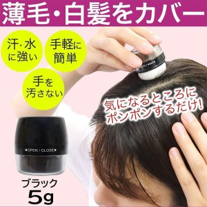 【送料無料】シャンデル 白髪隠し ヘアパウダー ブラック(薄毛 パウダー ヘアファンデーション ボリュームアップ 日本製)