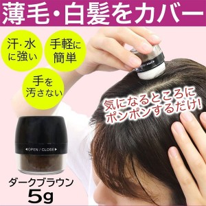 【送料無料】シャンデル 白髪隠し ヘアパウダー ダークブラウン(薄毛 パウダー ヘアファンデーション ボリュームアップ 日本製)