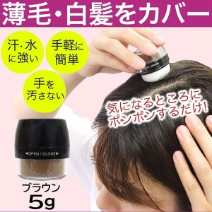 【送料無料】シャンデル 白髪隠し ヘアパウダー ブラウン(薄毛 パウダー ヘアファンデーション ボリュームアップ 日本製)